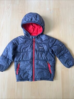 Patagonia Hi Loft Down Hoody 3T